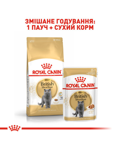 Вологий корм для дорослих котів ROYAL CANIN BRITISH SHORTHAIR ADULT 85 г