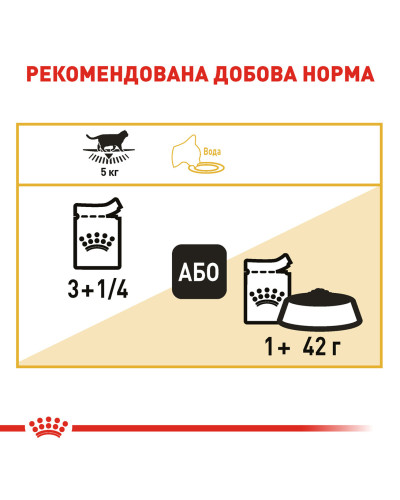 Вологий корм для дорослих котів ROYAL CANIN BRITISH SHORTHAIR ADULT 85 г