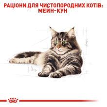 Влажный корм для взрослых кошек ROYAL CANIN MAINECOON ADULT 85 г