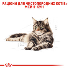 Вологий корм для дорослих котів ROYAL CANIN MAINECOON ADULT 85 г