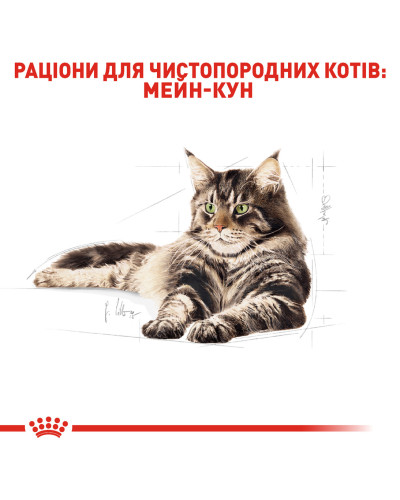 Вологий корм для дорослих котів ROYAL CANIN MAINECOON ADULT 85 г