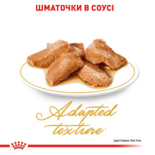Влажный корм для взрослых кошек ROYAL CANIN MAINECOON ADULT 85 г