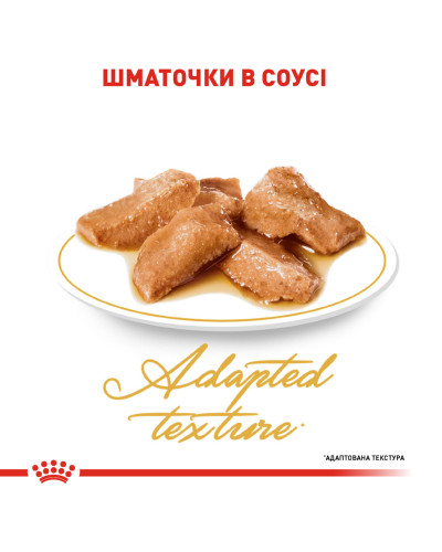 Вологий корм для дорослих котів ROYAL CANIN MAINECOON ADULT 85 г