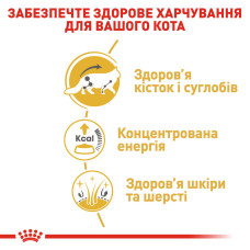 Вологий корм для дорослих котів ROYAL CANIN MAINECOON ADULT 85 г