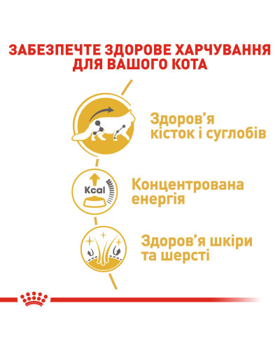 Вологий корм для дорослих котів ROYAL CANIN MAINECOON ADULT 85 г