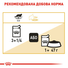 Влажный корм для взрослых кошек ROYAL CANIN MAINECOON ADULT 85 г