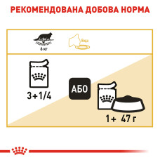 Вологий корм для дорослих котів ROYAL CANIN MAINECOON ADULT 85 г