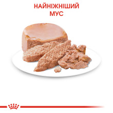 Влажный корм (мусс) для котят в возрасте от 1 до 4 месяцев ROYAL CANIN MOTHER and BABYCAT Cans 195 г