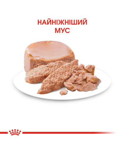 Вологий корм (мус) для кошенят віком від 1 до 4 місяців ROYAL CANIN MOTHER &amp;amp;amp;amp;amp;amp;amp; BABYCAT Cans 195 г