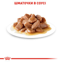 Вологий корм для дорослих котів ROYAL CANIN INSTINCTIVE IN GRAVY 85 г