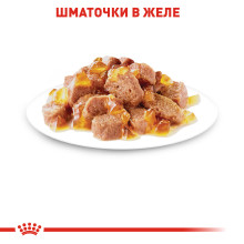Вологий корм для дорослих котів ROYAL CANIN INSTINCTIVE IN JELLY 85 г