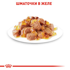 Вологий корм для дорослих котів ROYAL CANIN INSTINCTIVE IN JELLY 85 г