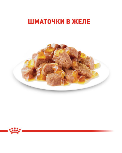Вологий корм для дорослих котів ROYAL CANIN INSTINCTIVE IN JELLY 85 г
