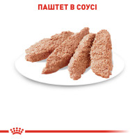 Вологий корм для дорослих котів ROYAL CANIN INSTINCTIVE LOAF 85 г