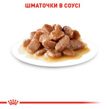 Вологий корм для дорослих стерилізованих котів ROYAL CANIN STERILISED IN GRAVY 85 г