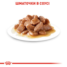 Вологий корм для дорослих стерилізованих котів ROYAL CANIN STERILISED IN GRAVY 85 г