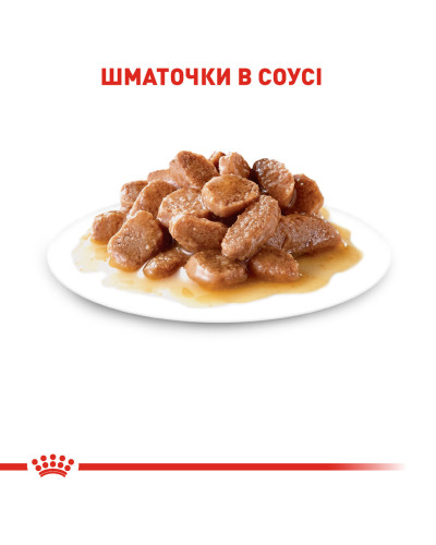Влажный корм для взрослых кошек ROYAL CANIN DIGEST SENSITIVE 85 г