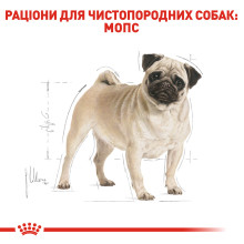 Корм для взрослых собак ROYAL CANIN PUG ADULT 3 кг