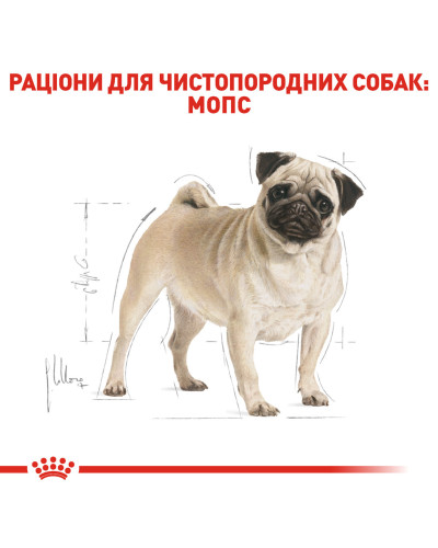 Корм для дорослих собак породи Мопс ROYAL CANIN PUG ADULT 1.5 кг
