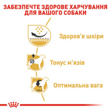 Корм для взрослых собак ROYAL CANIN PUG ADULT 3 кг