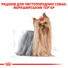 Вологий корм для дорослих собак Йоркшир-тер'єр ROYAL CANIN YORKSHIRE ADULT 85 г