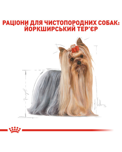 Вологий корм для дорослих собак Йоркшир-тер'єр ROYAL CANIN YORKSHIRE ADULT 0.085 кг