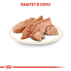 Вологий корм для дорослих собак Йоркшир-тер'єр ROYAL CANIN YORKSHIRE ADULT 85 г