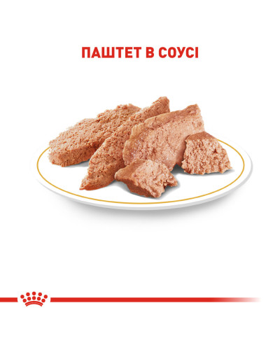 Вологий корм для дорослих собак Йоркшир-тер'єр ROYAL CANIN YORKSHIRE ADULT 0.085 кг