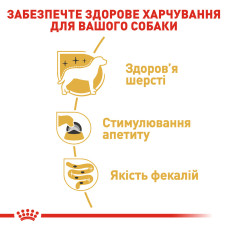 Вологий корм для дорослих собак Йоркшир-тер'єр ROYAL CANIN YORKSHIRE ADULT 85 г