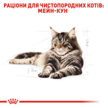 Корм для взрослых кошек ROYAL CANIN MAINECOON ADULT 4 кг