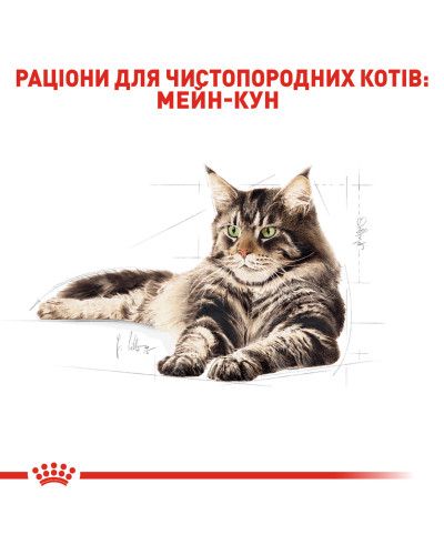 Корм для дорослих котів ROYAL CANIN MAINECOON ADULT 2 кг
