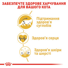 Корм для дорослих котів ROYAL CANIN MAINECOON ADULT 2 кг