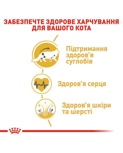 Корм для дорослих котів ROYAL CANIN MAINECOON ADULT 2 кг