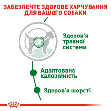 Вологий корм для дорослих собак ROYAL CANIN MINI ADULT IN GRAVY 85 г