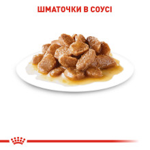 Влажный корм для взрослых собак ROYAL CANIN MINI ADULT IN GRAVY 85 г