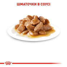 Вологий корм для дорослих собак ROYAL CANIN MINI ADULT IN GRAVY 85 г