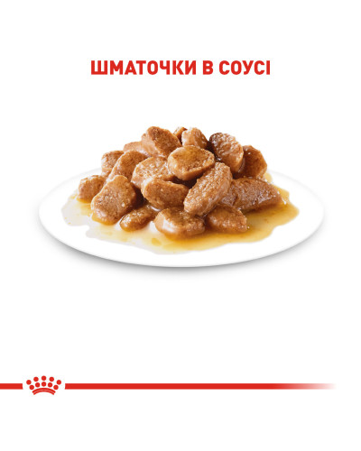 Вологий корм для дорослих собак ROYAL CANIN MINI ADULT IN GRAVY 0.085 кг