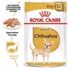 Вологий корм для дорослих собак ROYAL CANIN CHIHUAHUA ADULT 85 г