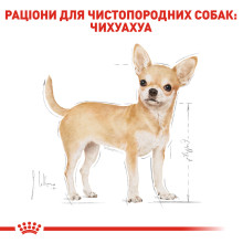 Влажный корм для взрослых собак ROYAL CANIN CHIHUAHUA ADULT 85 г