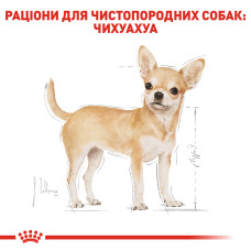 Вологий корм для дорослих собак ROYAL CANIN CHIHUAHUA ADULT 85 г