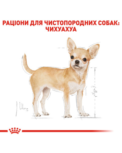 Вологий корм для дорослих собак ROYAL CANIN CHIHUAHUA ADULT 0.085 кг