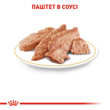 Влажный корм для взрослых собак ROYAL CANIN CHIHUAHUA ADULT 85 г