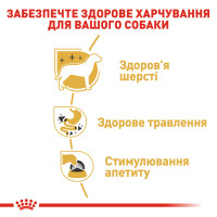 Вологий корм для дорослих собак ROYAL CANIN CHIHUAHUA ADULT 85 г