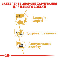 Вологий корм для дорослих собак ROYAL CANIN CHIHUAHUA ADULT 85 г