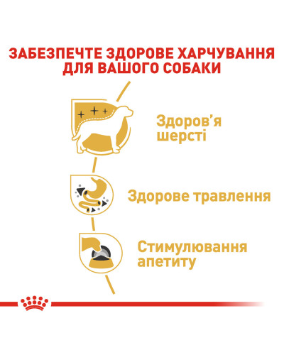 Вологий корм для дорослих собак ROYAL CANIN CHIHUAHUA ADULT 0.085 кг