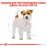 Корм для дорослих собак ROYAL CANIN JACK RUSSEL ADULT 7.5 кг