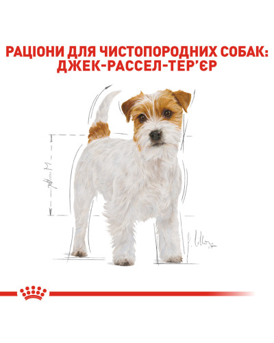 Корм для дорослих собак ROYAL CANIN JACK RUSSEL ADULT 7.5 кг