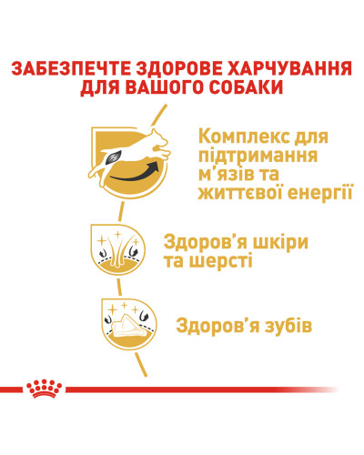 Сухий корм для дорослих собак породи Джек-Рассел-тер'єр ROYAL CANIN JACK RUSSEL ADULT 1.5 кг