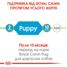 Корм для щенков породы Мопс ROYAL CANIN PUG PUPPY 1.5 кг