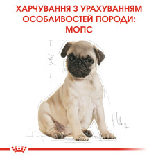Корм для щенков породы Мопс ROYAL CANIN PUG PUPPY 1.5 кг
